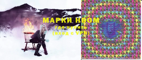 хмурый Жердевка
