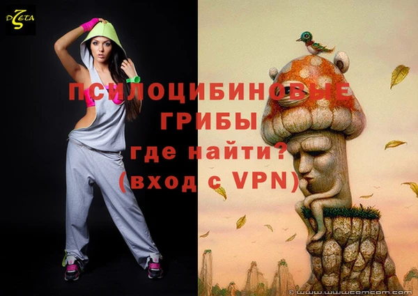 тгк Россошь