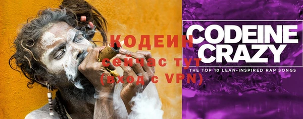 2c-b Рославль