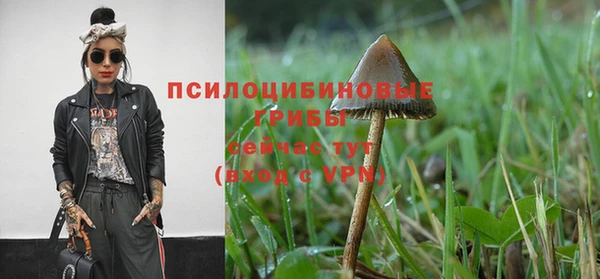 тгк Россошь