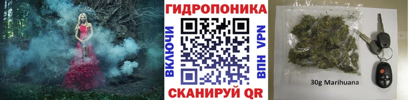 Марихуана ГИДРОПОН  даркнет сайт  Сосногорск 